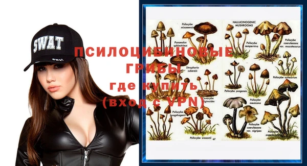 спиды Алексеевка